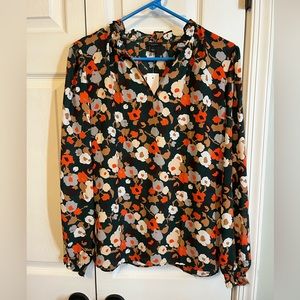 Long sleeve, Ann Taylor blouse